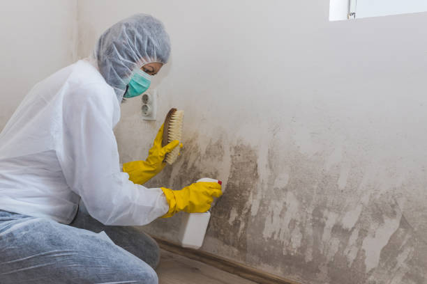 Best Airborne Mold Testing  in West St Paul, MN