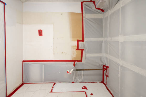 Best Industrial Mold Remediation  in West St Paul, MN
