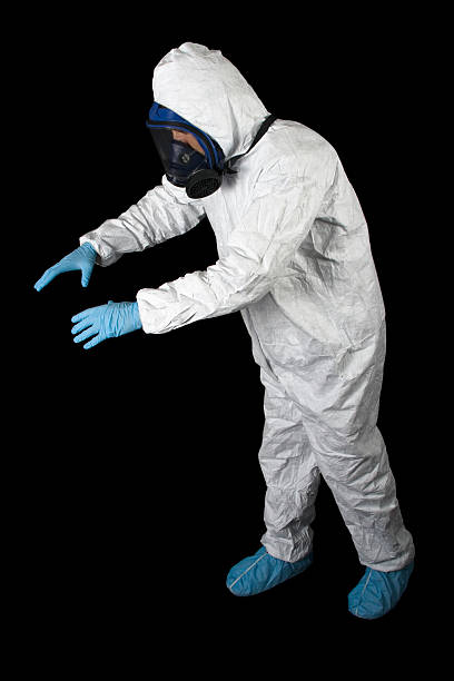 Best Basement Mold Removal  in West St Paul, MN