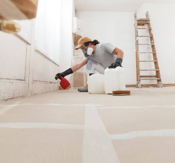 Best Indoor Air Quality Assessment  in West St Paul, MN
